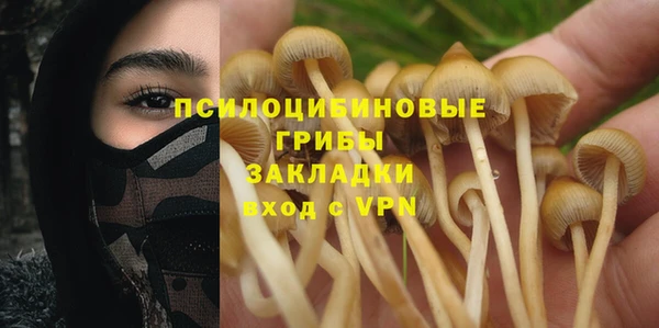 стаф Армянск