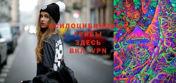 стаф Армянск