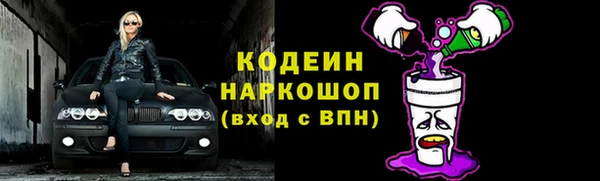 прущий лед Арсеньев