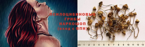 Альфа ПВП Аркадак