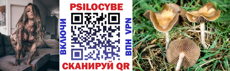 Купить  Новоузенск  Галлюциногенные грибы Psilocybine cubensis 